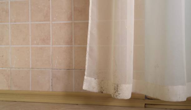 Best Real Estate Mold Inspection  in Buda, TX