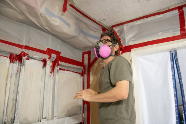 Best Environmental Consulting for Mold Prevention  in Buda, TX